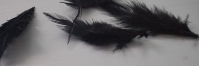 Rhaella The Darling banner