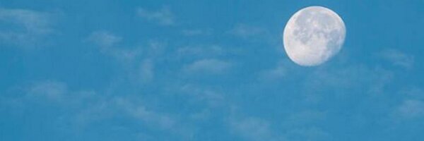 jeff_kantor Profile Banner