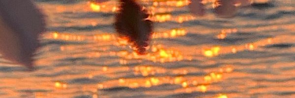 yanyyyl Profile Banner