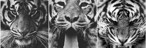 manhaddan's profile banner image