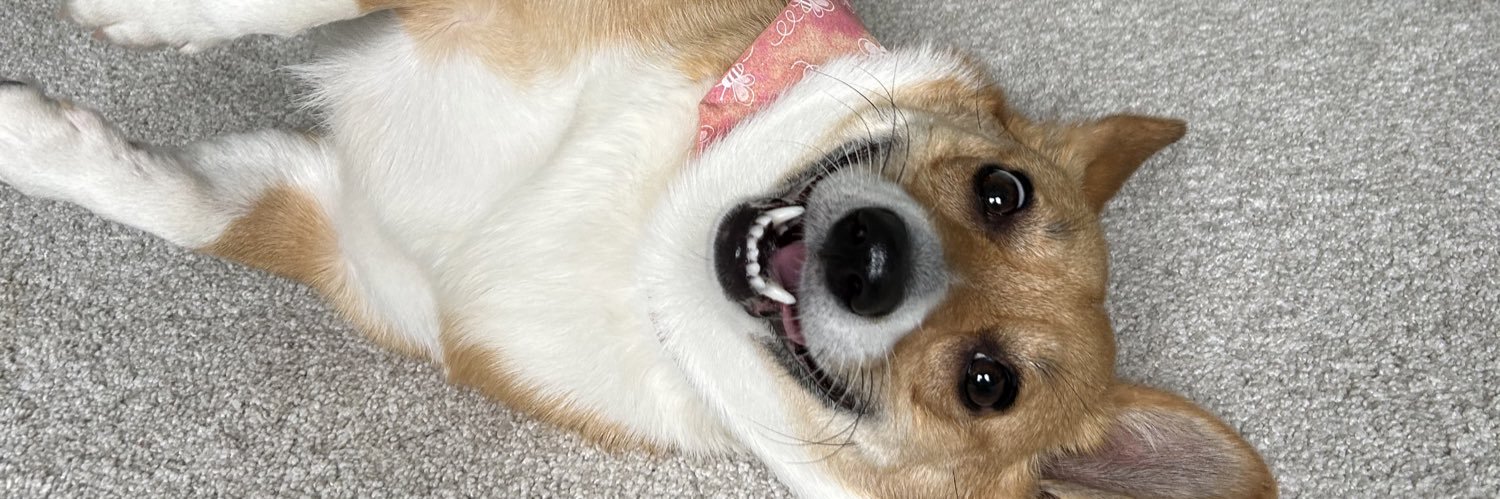 Stephen Boundy banner