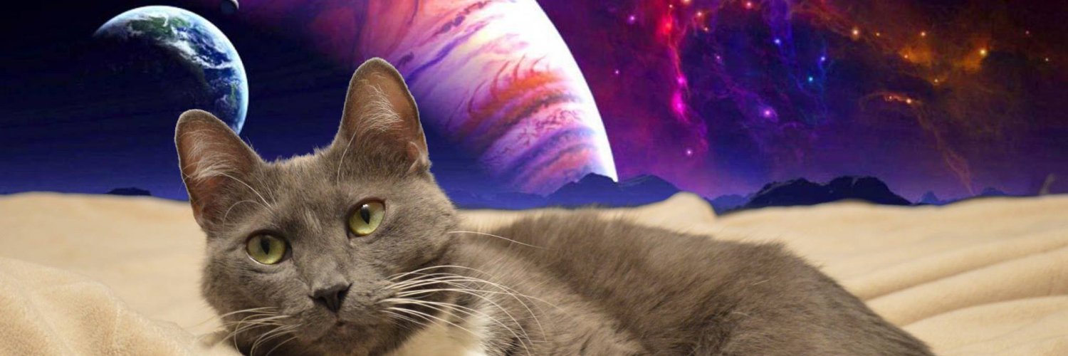 PhotoKing1977's profile banner image