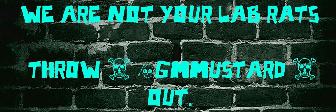 GMWatchIndia banner