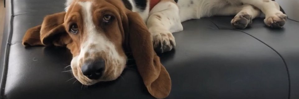 agusscastelo's profile banner image