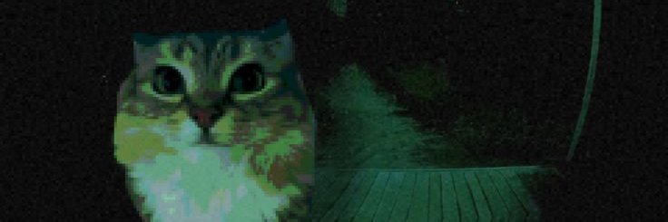 itsKadde_'s profile banner image