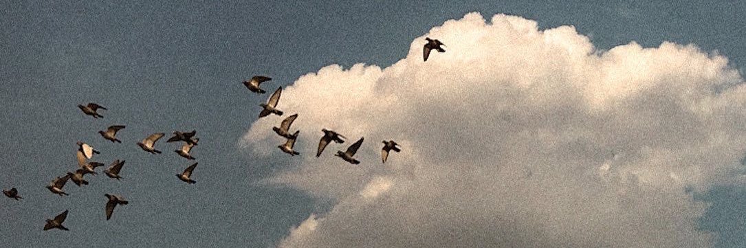 𝙰𝚋𝚍𝚞𝚕𝚑𝚊𝚖𝚒𝚍🪐 banner