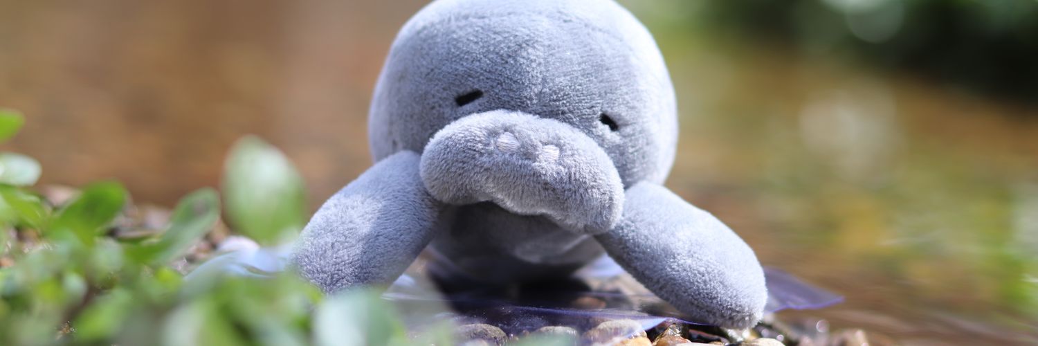 ゆふなむ🌱マナティーなもの作家's banner