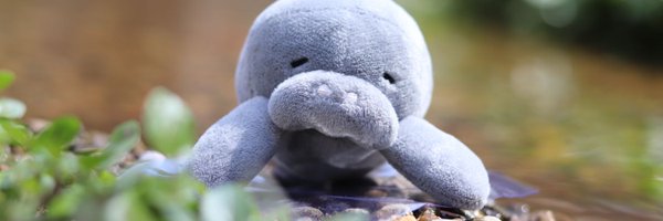 yufunamu Profile Banner
