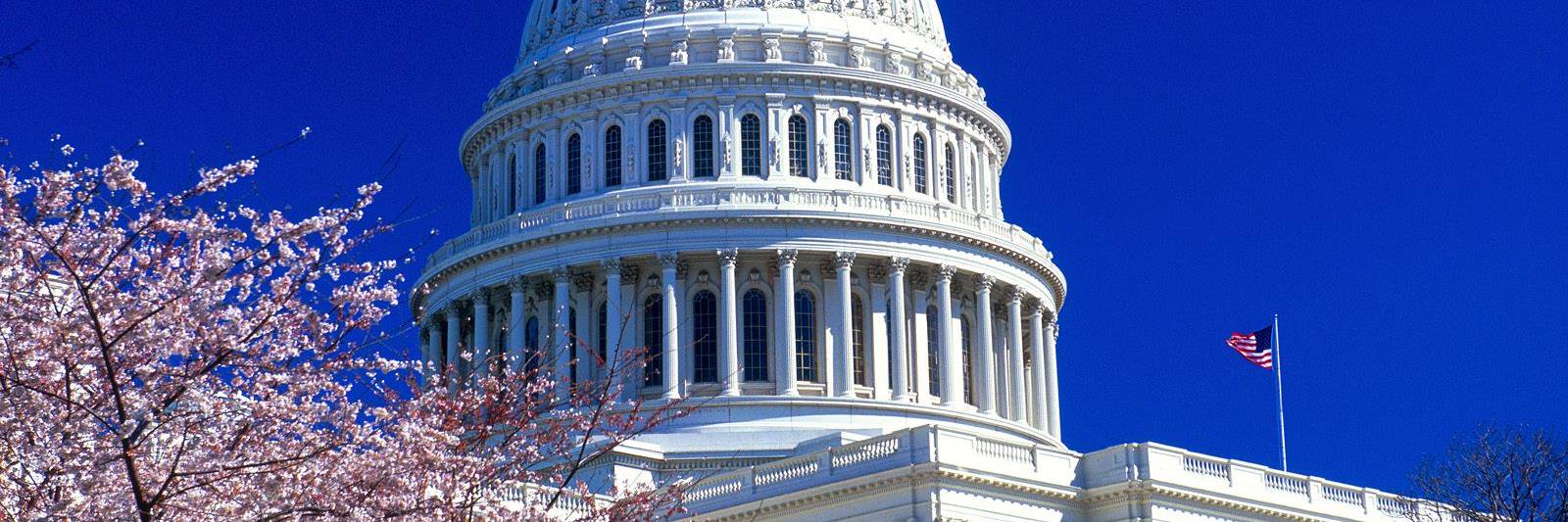 Melanie Waddell banner