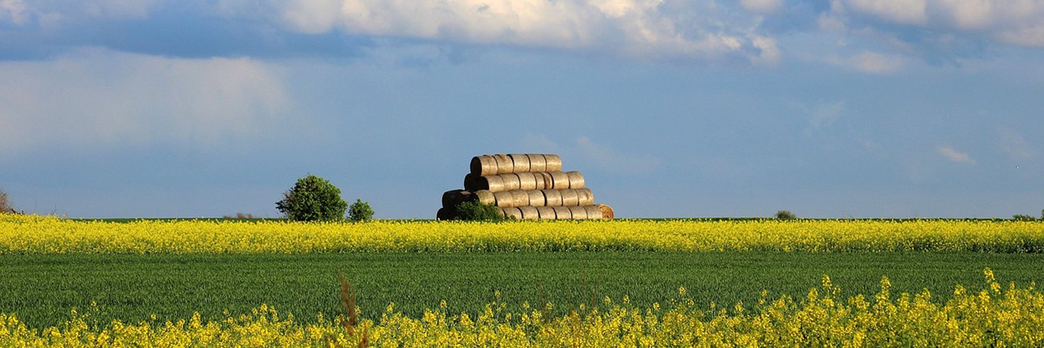 ruralcat's profile banner image