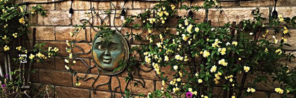 veroarreguin Profile Banner