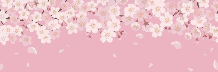 V. ♡ ≽^• ˕ • ྀི≼ banner