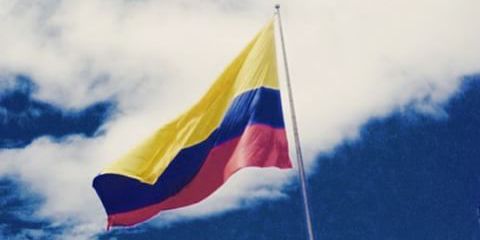 anitacaro2's profile banner image