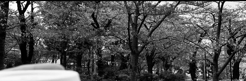 nothingnotable1's profile banner image
