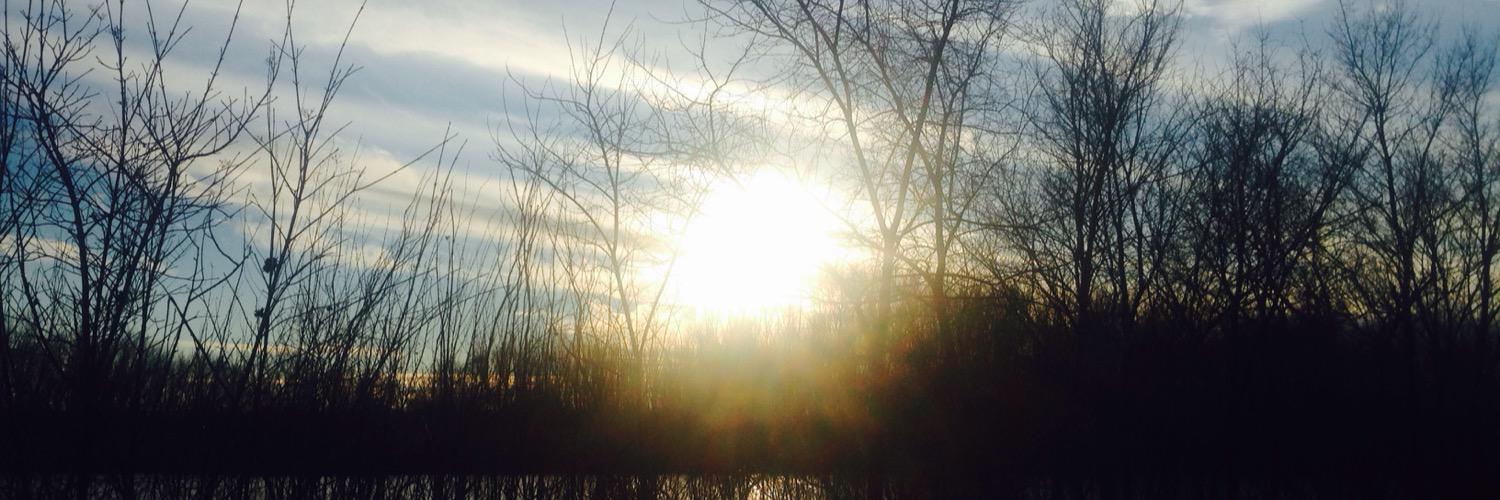 peacefulreader's profile banner image