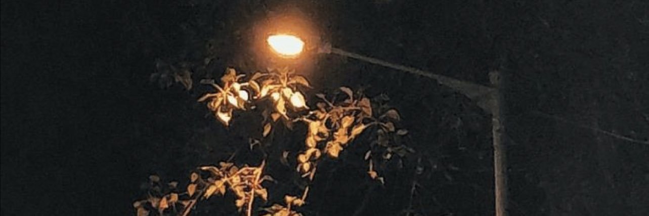 v1zz_'s profile banner image