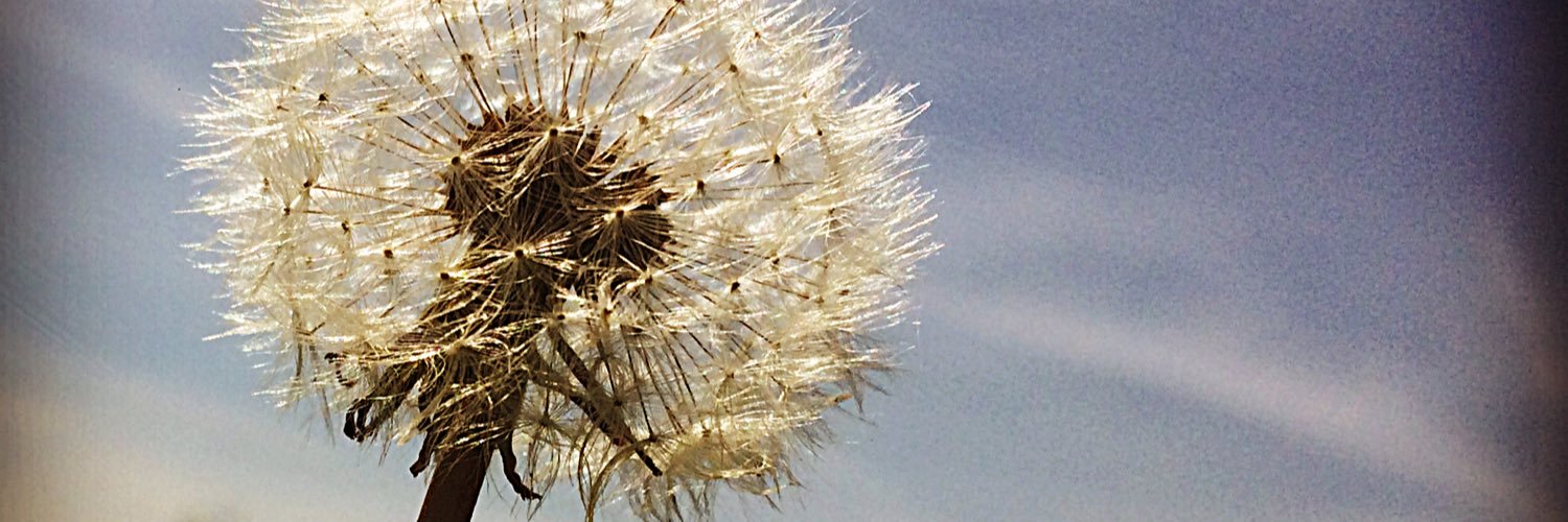 PhotosAndyBrain's profile banner image