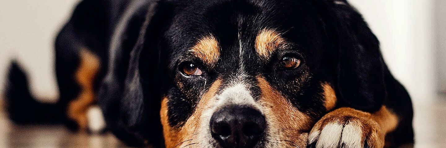 Attcimhtp's profile banner image