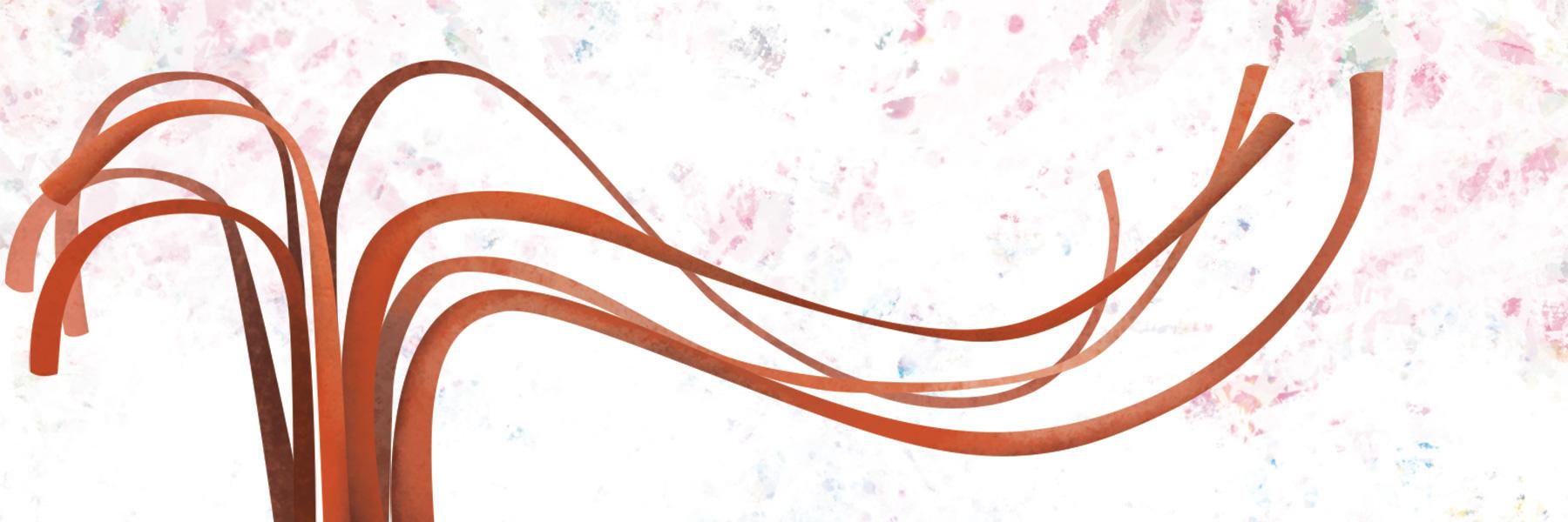 naoehamor's profile banner image