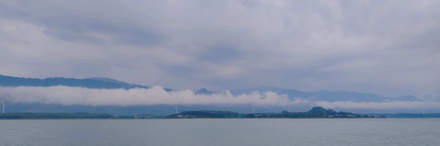 qingqing banner