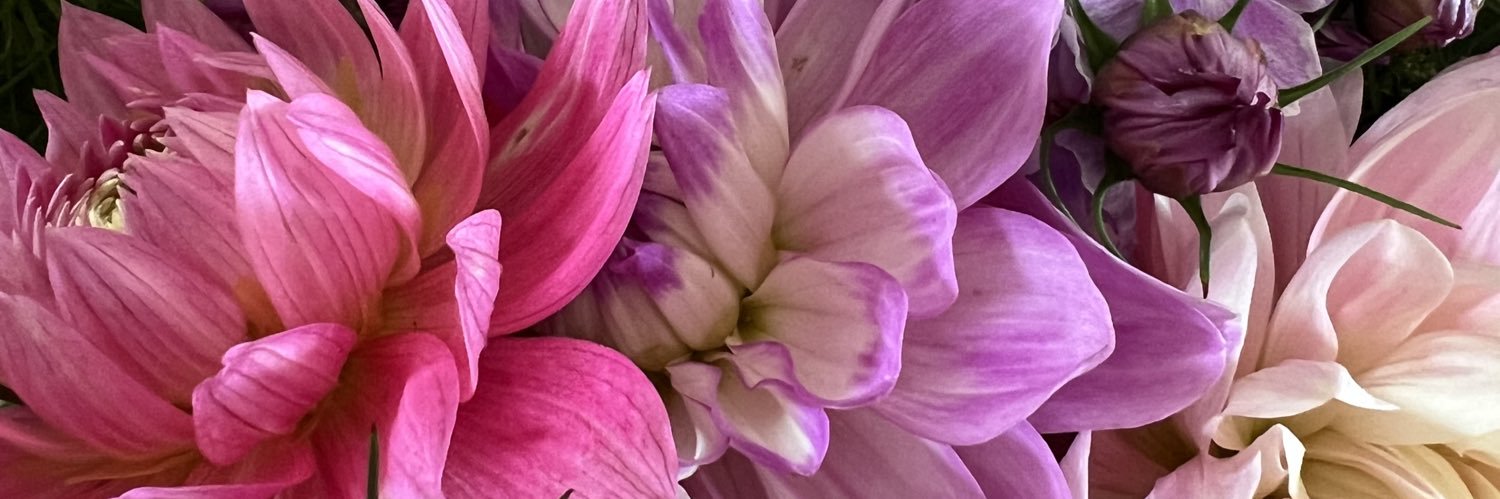 Georgie Newbery banner