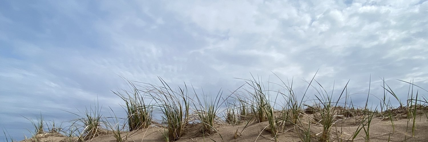 MclovinMcDryden's profile banner image