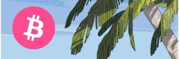 bitcoinyucatan Profile Banner