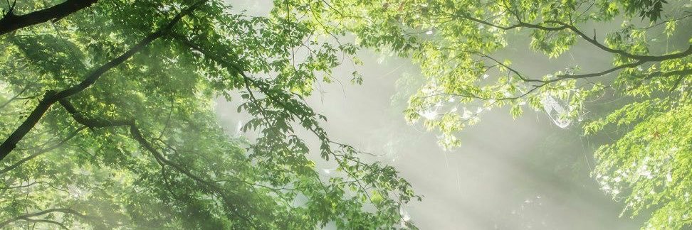 poppyfarty69's profile banner image