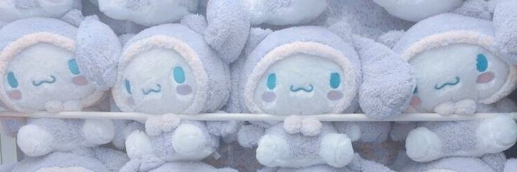 민˙𐃷˙🐨 banner