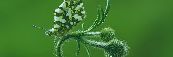 fullai Profile Banner