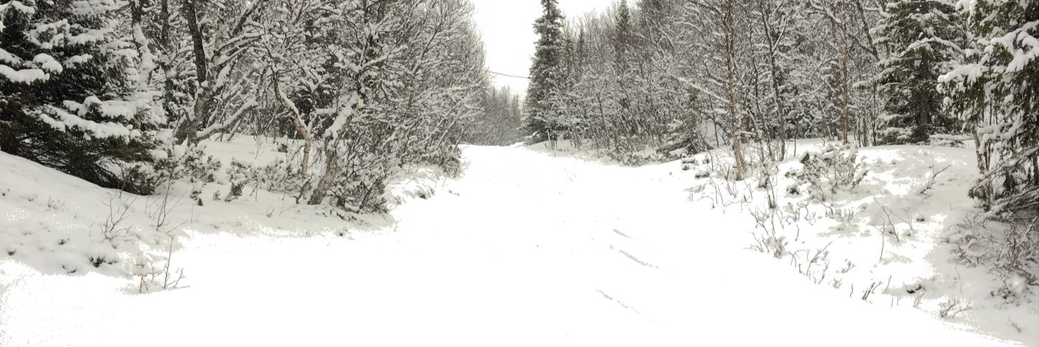 CajsaJonsson's profile banner image