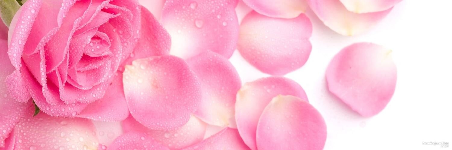 Donna_Curran's profile banner image
