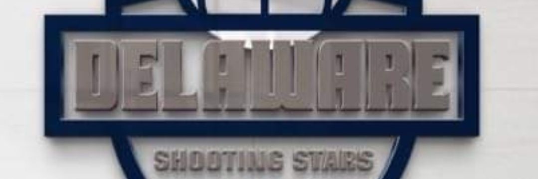 Delaware Shooting Stars banner
