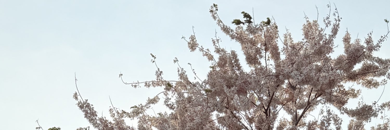 zJustJCz's profile banner image