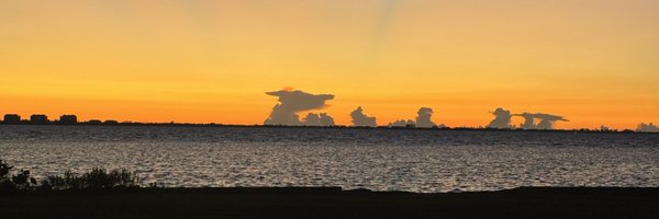 DLaniNavarro Profile Banner