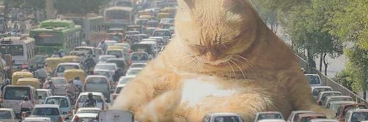 meritzell_jb's profile banner image