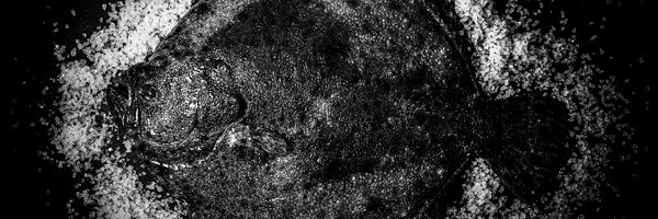 VocentoGastro Profile Banner