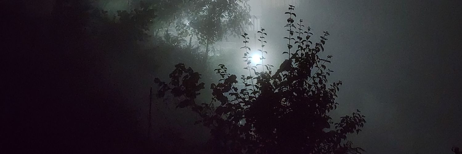 from_shaygan's profile banner image