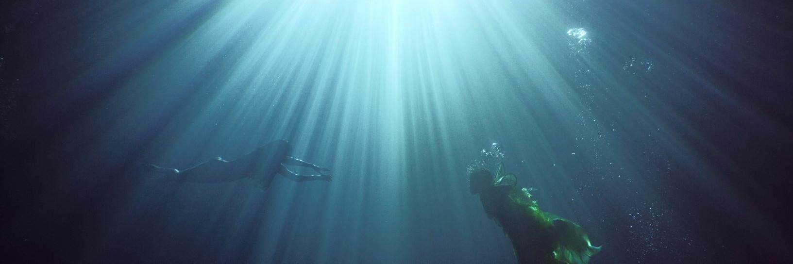 David Schurmann banner