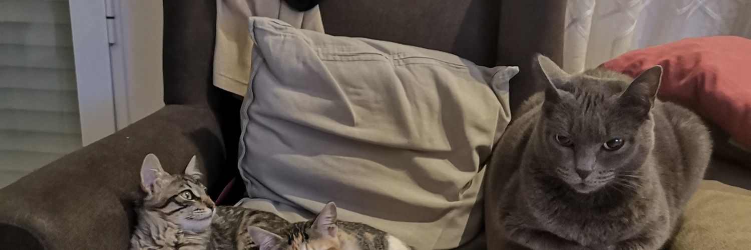 amaliasf's profile banner image