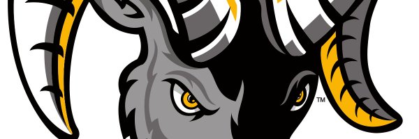 CoachDice561 Profile Banner