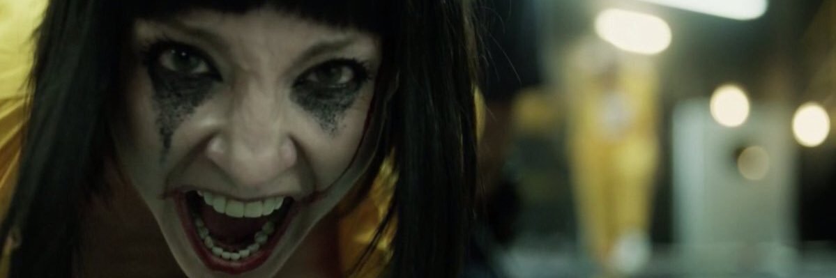 Woodpecker Campeador banner