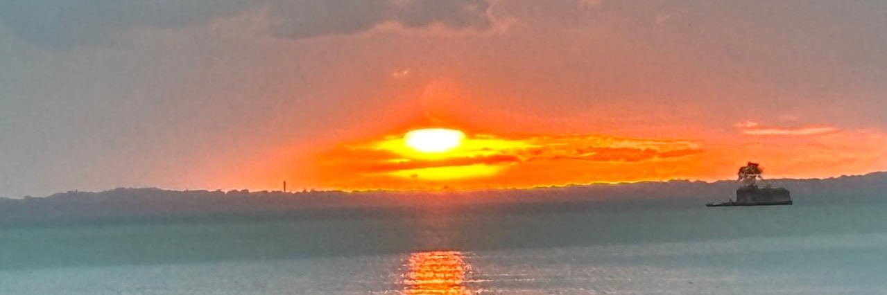 IslandRummie's profile banner image