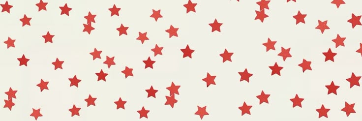 nvv banner