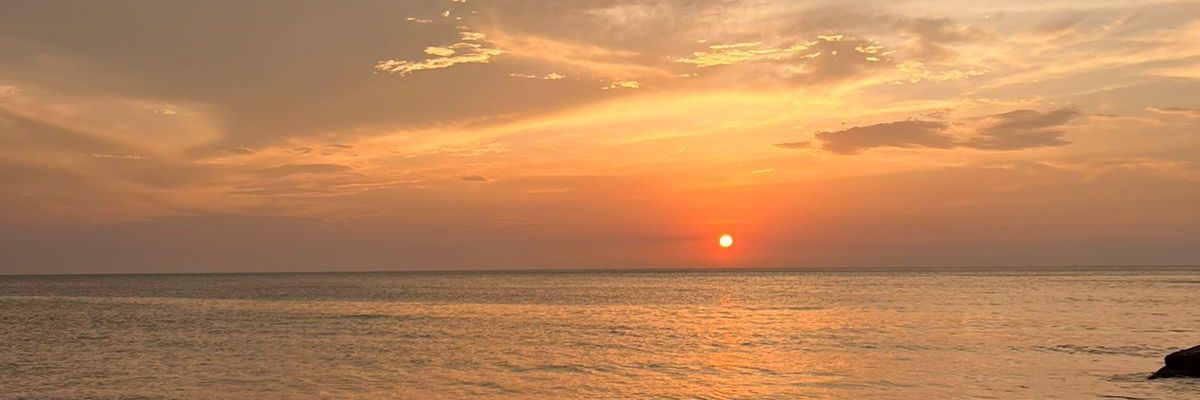 nelsonramos_'s profile banner image