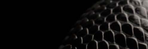 D0nRoger's profile banner image