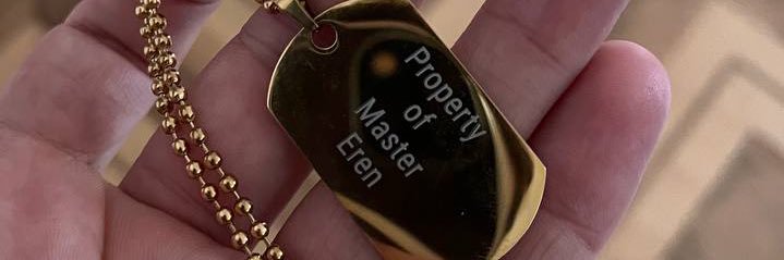 Master Eren 🇨🇭🇹🇷🇫🇷 banner