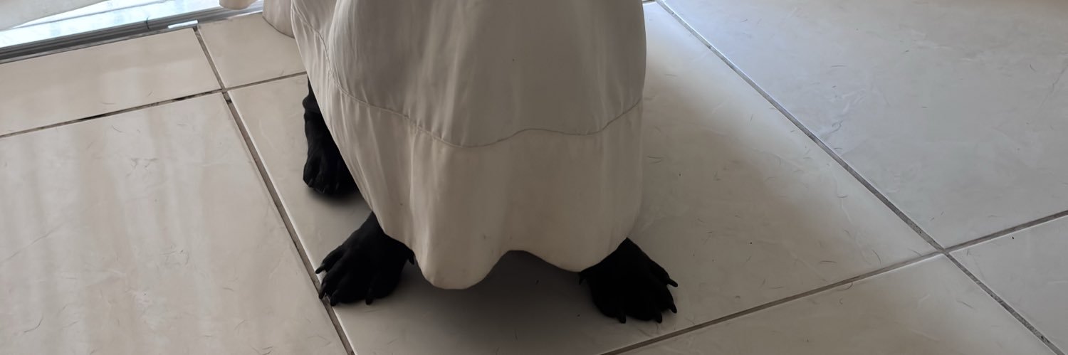 sorvetinho de coco 🥥 banner