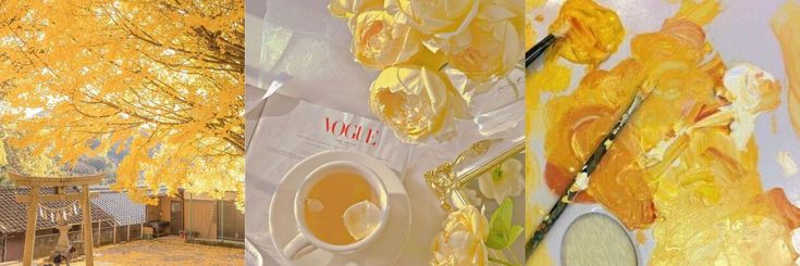 𝓓𝓸𝓻𝓲 ⋆୨୧ banner