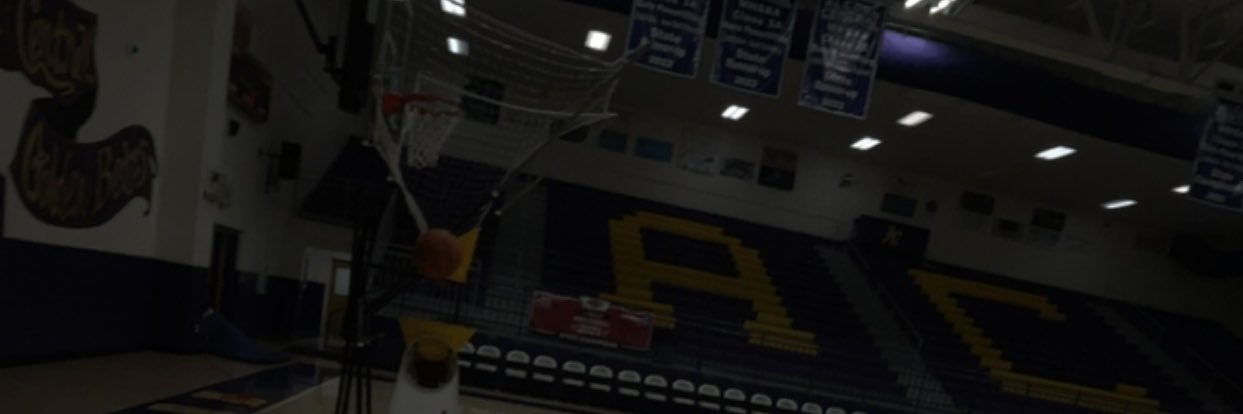 Wilson McDonald banner